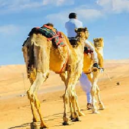 Félicitations Naser